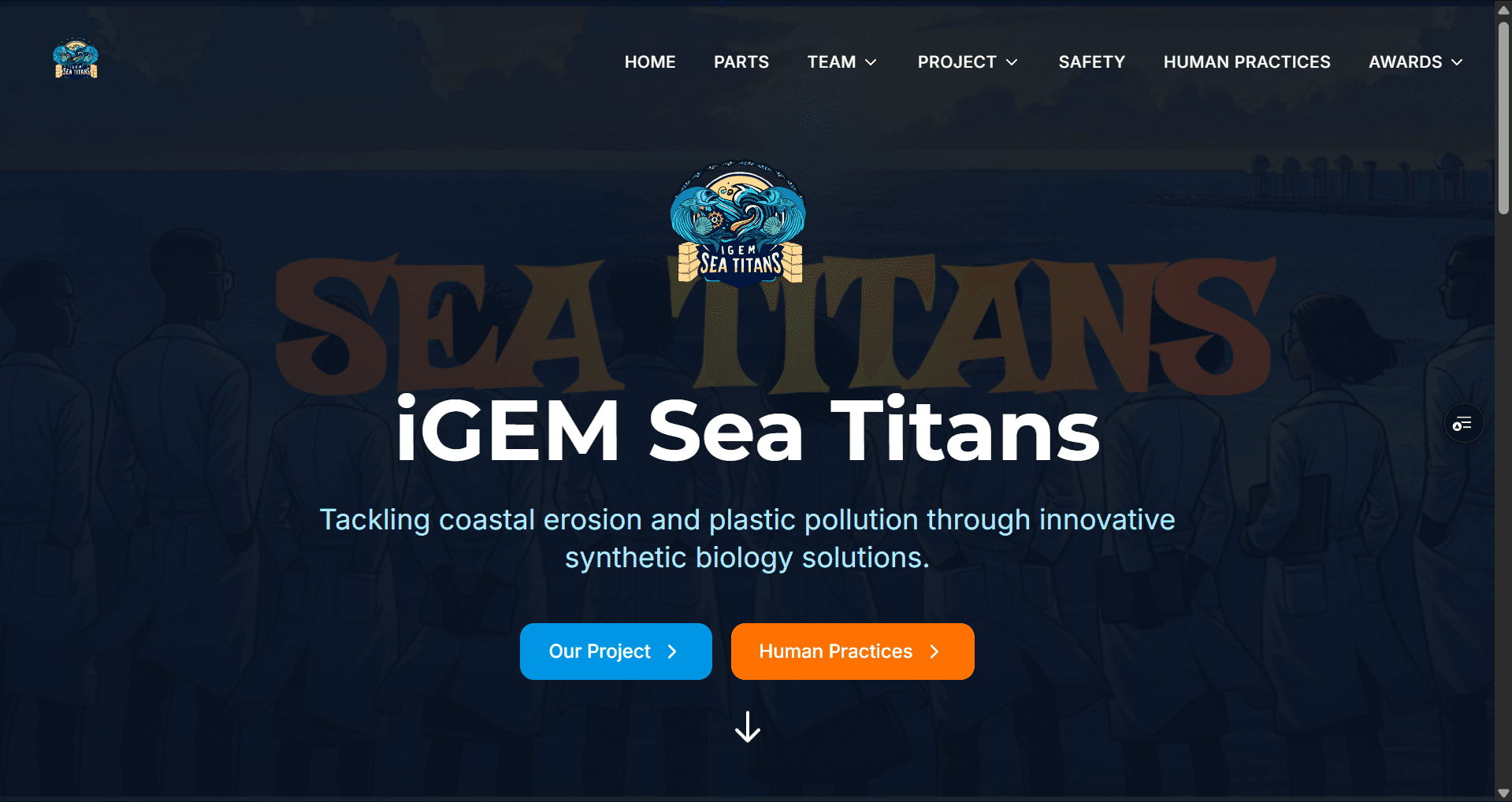 website redesign